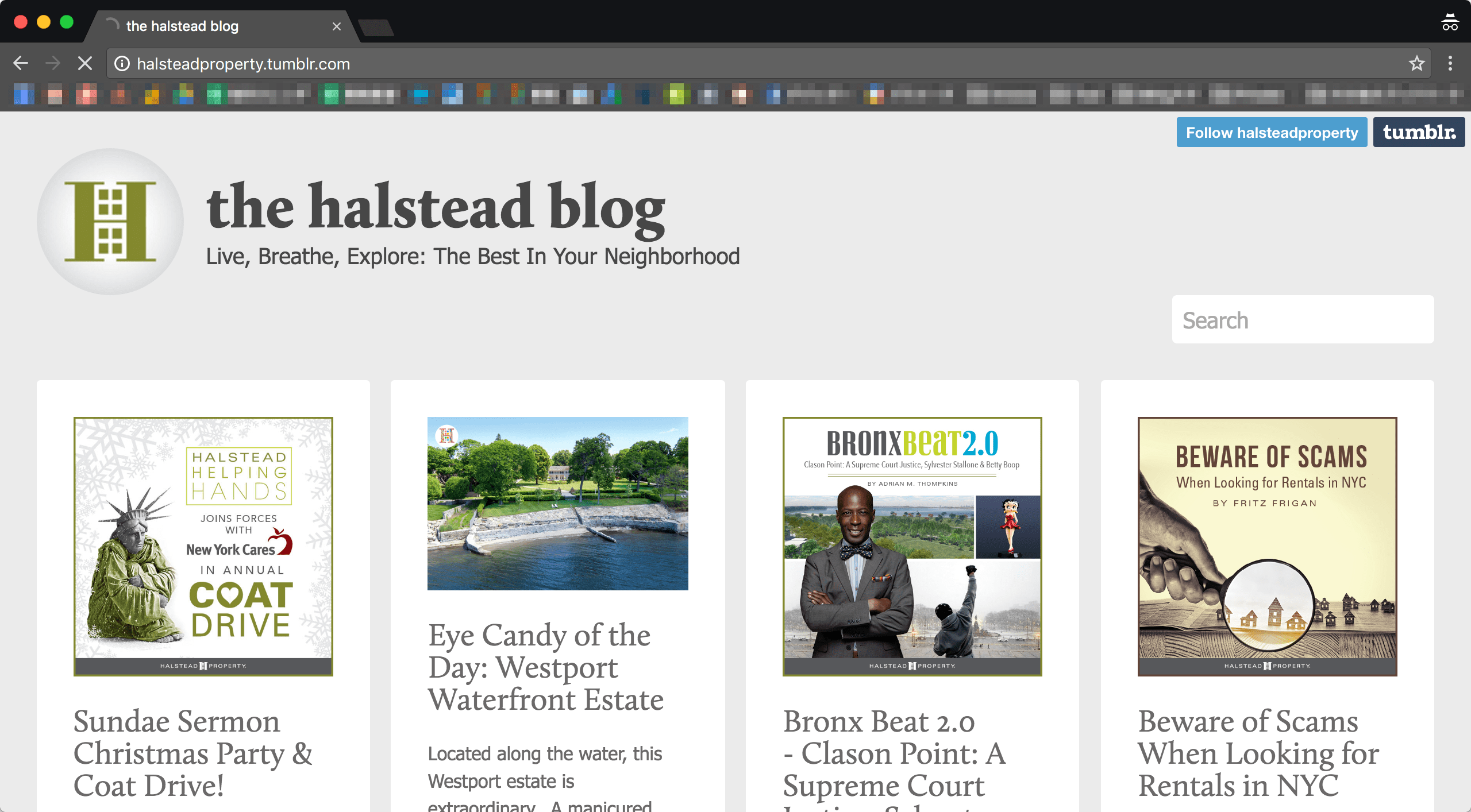 Halstead Property社「the halstead blog」のサイトトップの画像